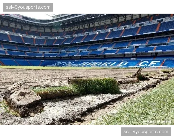 伯纳乌球场完成最后阶段草皮更换,新混合草皮旨在提升球速与球员跑速 伯纳乌球场完成最后阶段草皮更换,新混合草皮旨在提升球速与球员跑速